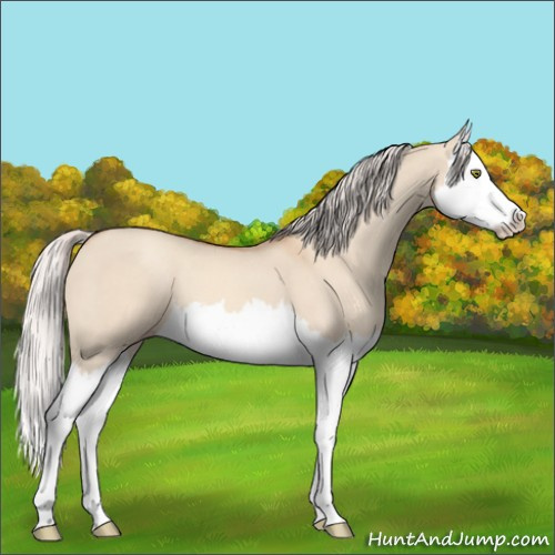 Horse Color:Silver Sable Champagne Dun Splash 
