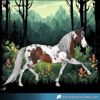 Horse Color:Silver Brown Splash Tobiano 