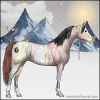 Horse Color:Bay Ice Rabicano 