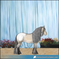 Horse Color:Buckskin Dun Appaloosa