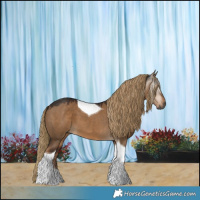 Horse Color:Gray Liver Red Dun Tobiano 