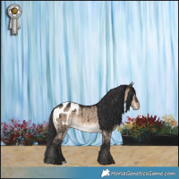 Horse Color:Brown Dun Appaloosa Brindle 
