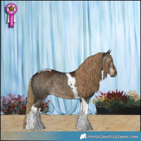 Horse Color:Gray Liver Red Dun Tobiano Brindle 