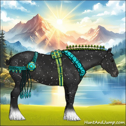 Horse Color:Gray Black Appaloosa 