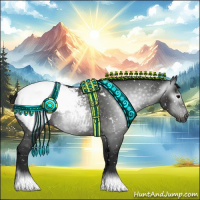 Horse Color:Gray Black Appaloosa