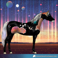 Horse Color:Nacre Silver Bay Splash Tobiano