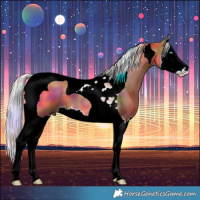 Horse Color:Nacre Silver Bay Splash Tobiano 