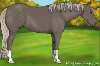 Horse Color:Silver Black 