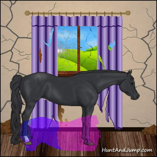 Horse Color:Black 