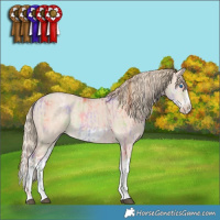 Horse Color:Nacre Smoky Blue Onyx Pearl Splash  and Smoky Creme Splash Frame 