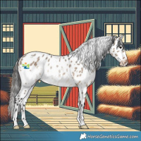 Horse Color:White Spotted Brown Dun Appaloosa Rabicano 