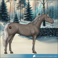 Horse Color:Silver Smoky Black 