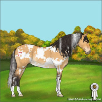 Horse Color:White Spotted Buckskin Roan Dun 