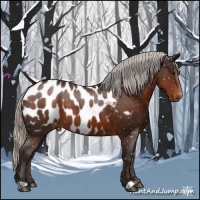 Horse Color:Silver Brown Near Leopard 