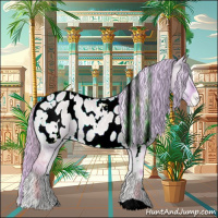 Horse Color:Watercolor White Spotted Cremello Onyx Appaloosa