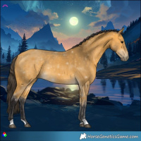 Horse Color:Buckskin Rabicano