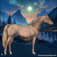 Horse Color:Red Roan 
