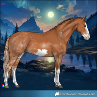 Horse Color:Chestnut Splash Frame