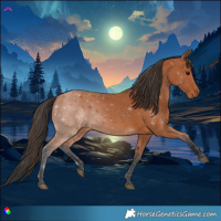 Horse Color:Bay Sabino Rabicano 