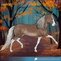 Horse Color:Silver Black Splash 