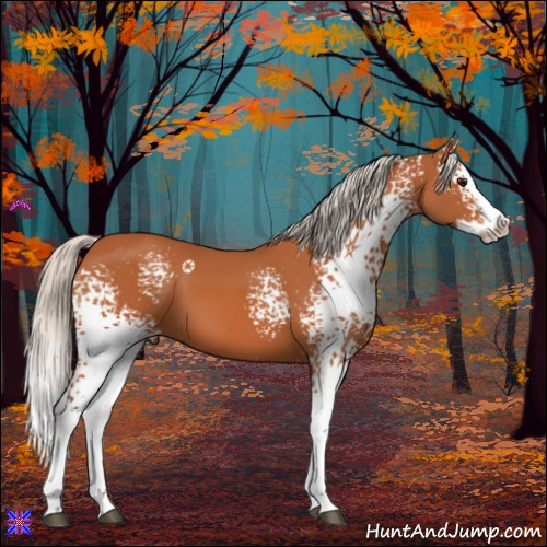 Horse Color:White Spotted Silver Bay Splash 