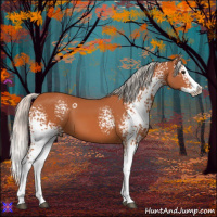 Horse Color:White Spotted Silver Bay Splash 