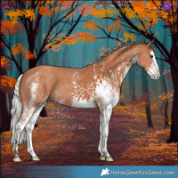 Horse Color:White Spotted Silver Bay Splash 