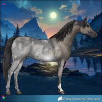 Horse Color:Black  and Smoky Grullo 
