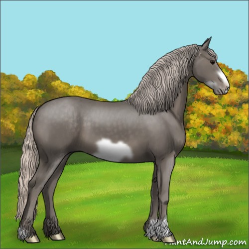 Horse Color:Silver Black Frame 