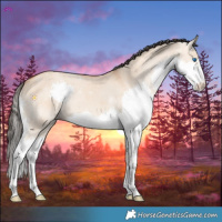 Horse Color:Bay Dun Splash 