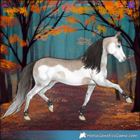 Horse Color:Bay Dun Splash Frame Rabicano 