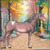 Horse Color:Watercolor Palomino Appaloosa 