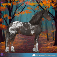 Horse Color:Liver Chestnut Tobiano 