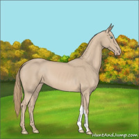 Horse Color:Smoky Creme 
