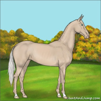 Horse Color:Silver Smoky Creme 