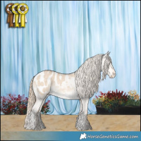 Horse Color:Perlino Dun Appaloosa
