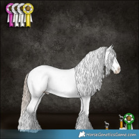 Horse Color:Chocolate Palomino Dun Tobiano Appaloosa 