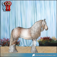 Horse Color:Gray Chocolate Palomino Tobiano 