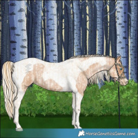 Horse Color:Smoky Blue Roan Pearl and Silver Blue Roan Pearl Tobiano