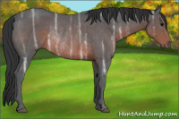 Horse Color:Brown Ice Rabicano 