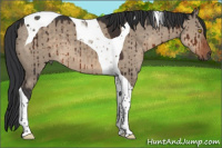 Horse Color:Brown Dun Tobiano Brindle 