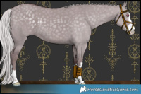 Horse Color:Chocolate Silver Grullo Chinchilla