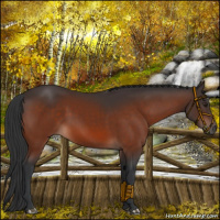 Horse Color:Brown Mushroom 