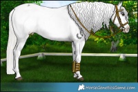 Horse Color:Liver Chestnut Mushroom Splash Snowflake Varnish Rabicano 