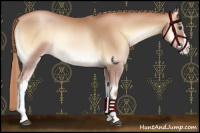 Horse Color:Red Onyx Pearl 