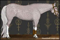 Horse Color:Chocolate Silver Smoky Grullo Chinchilla