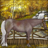 Horse Color:Chocolate Silver Black Chinchilla Sabino 
