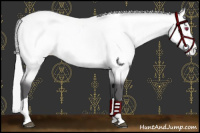 Horse Color:Silver Buckskin Chinchilla Near Leopard 