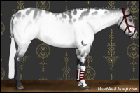 Horse Color:Silver Brown Chinchilla Near Leopard 