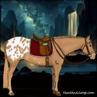 Horse Color:Chestnut Blanket 